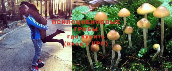 таблы Алзамай