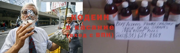 шишки Алексин