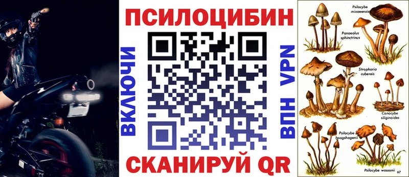 купить   Кувшиново  Псилоцибиновые грибы Magic Shrooms 